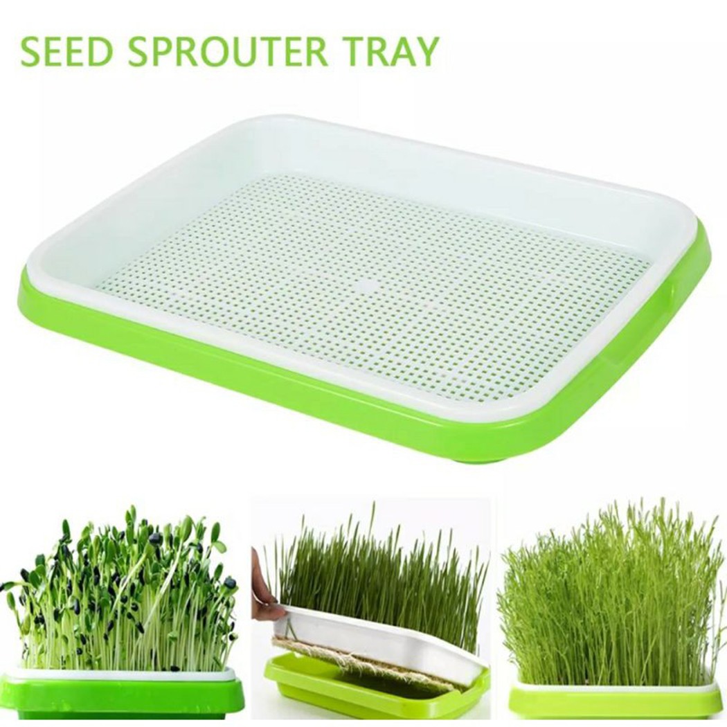 Hydroponic Grow Pod - صينية تنبت ميكروغرينز المائية/صينية تنبت لأنظمة