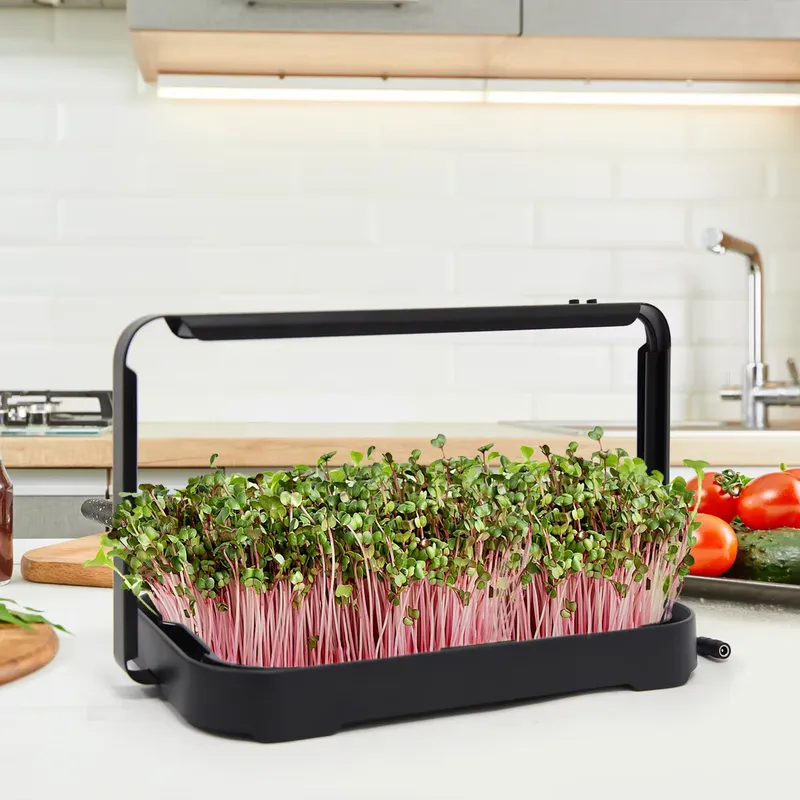 Indoor Garden Kit - صينية زراعة مائية داخلية، نظام زراعة