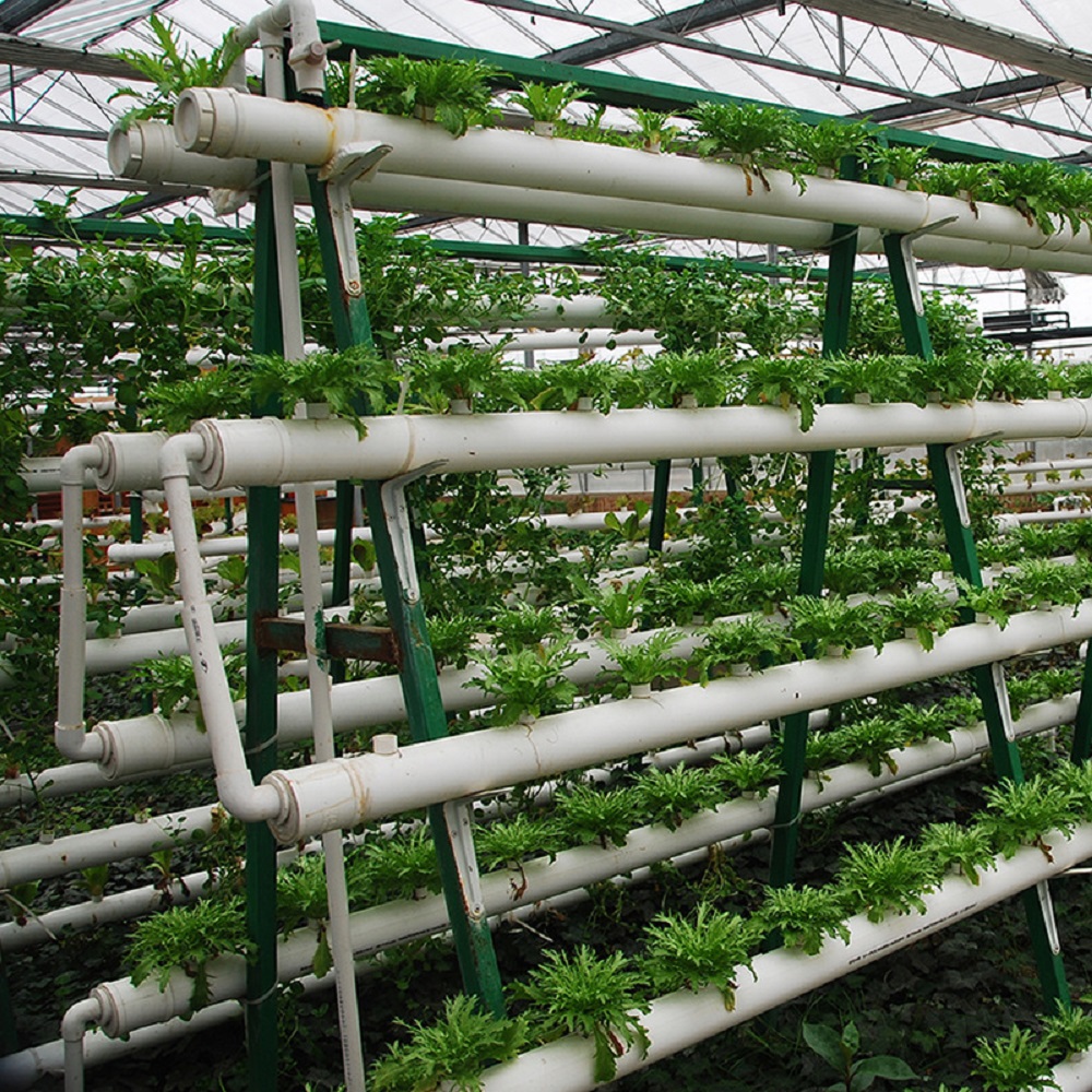 الصانع معدات الزراعة بدون تربة - مراجعة Hydroponic Tower وسعره