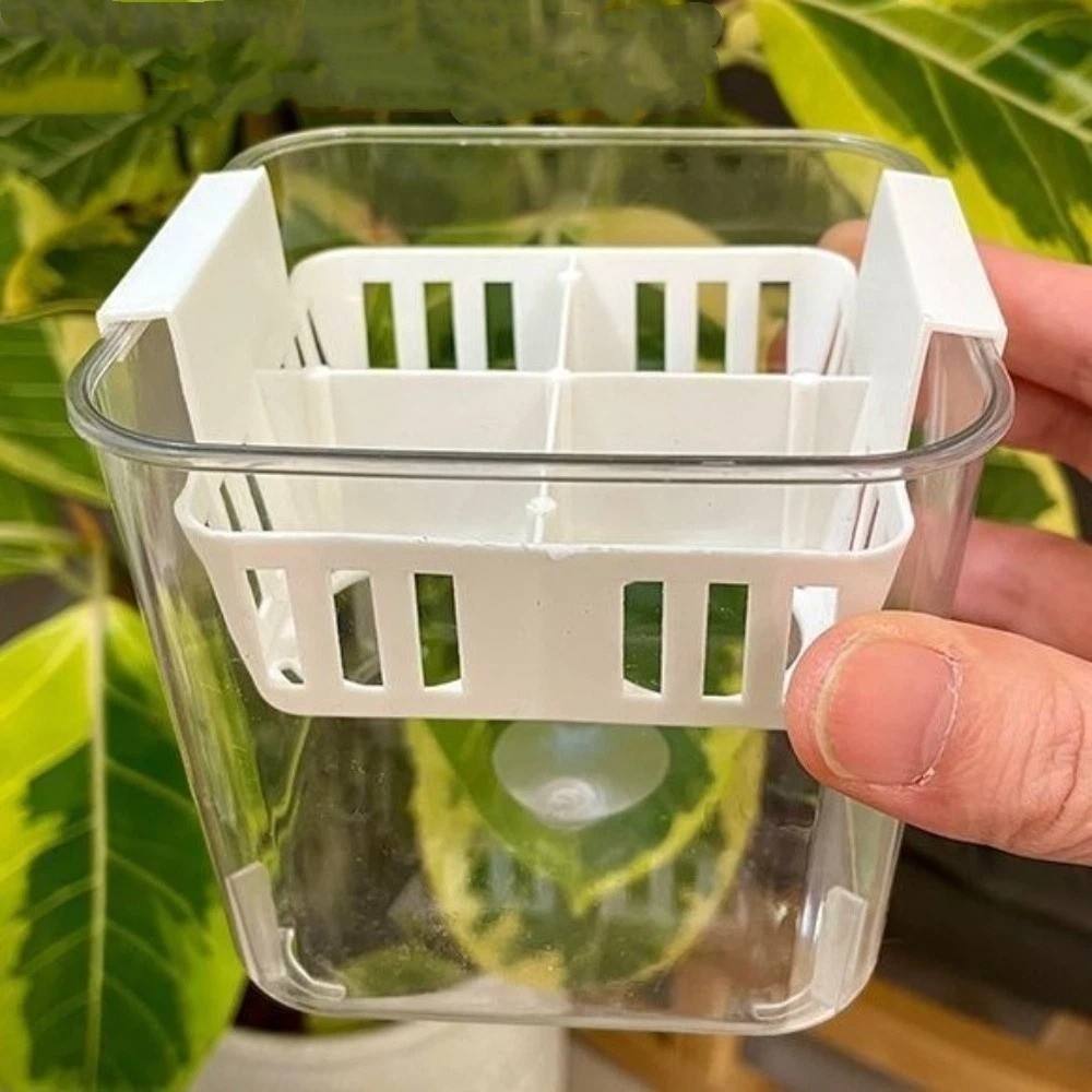 أوعية زراعة مائية بـ 4 أقسام،  - مراجعة Hydroponic Grow Pod وسعره