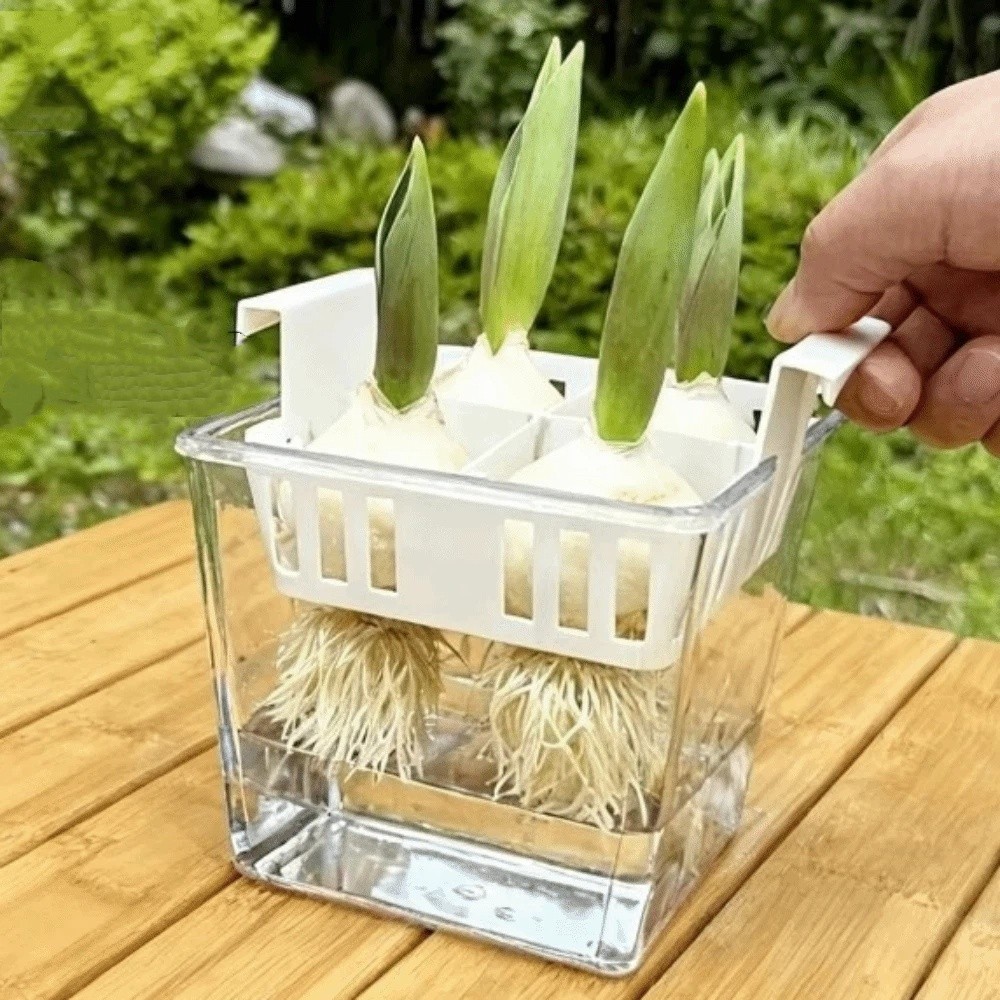 أوعية زراعة مائية بـ 4 أقسام،  - مراجعة Hydroponic Grow Pod وسعره