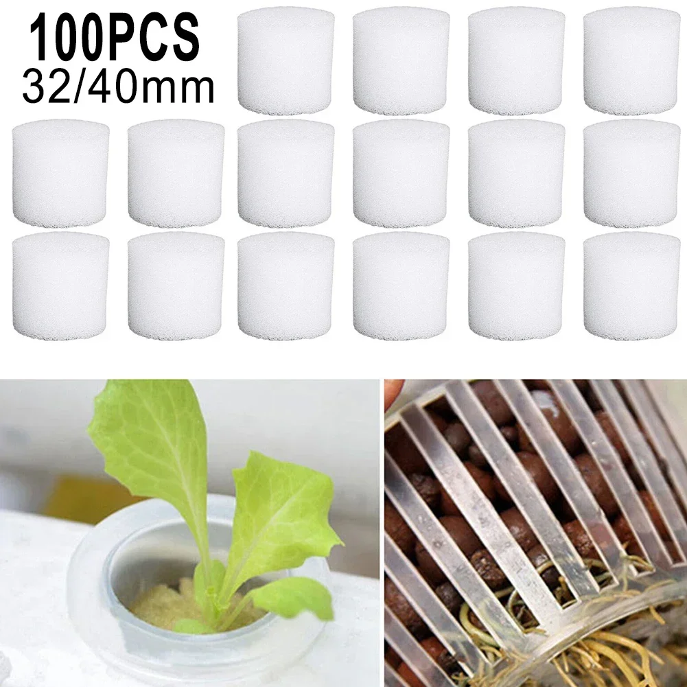100 قطعة من إسفنجة الزراعة الم - مراجعة Hydroponic Grow Pod وسعره