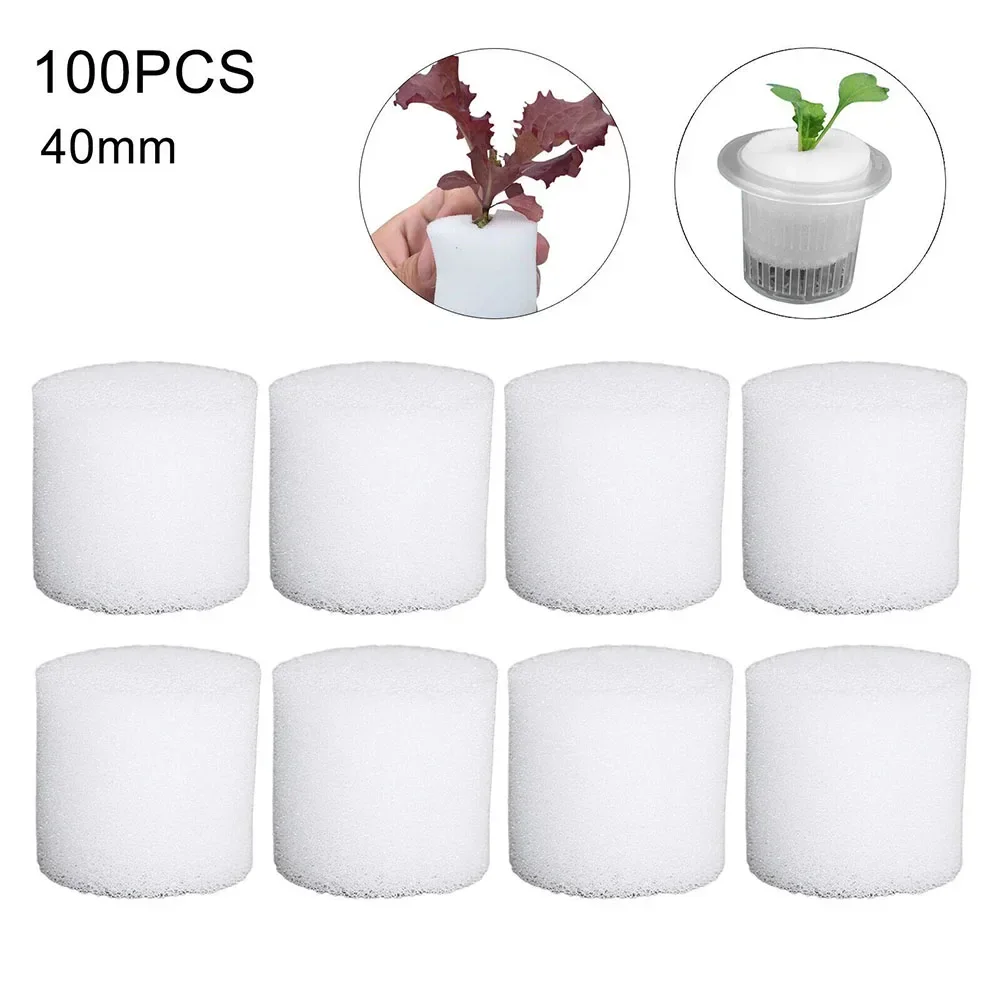 100 قطعة من إسفنجة الزراعة الم - مراجعة Hydroponic Grow Pod وسعره