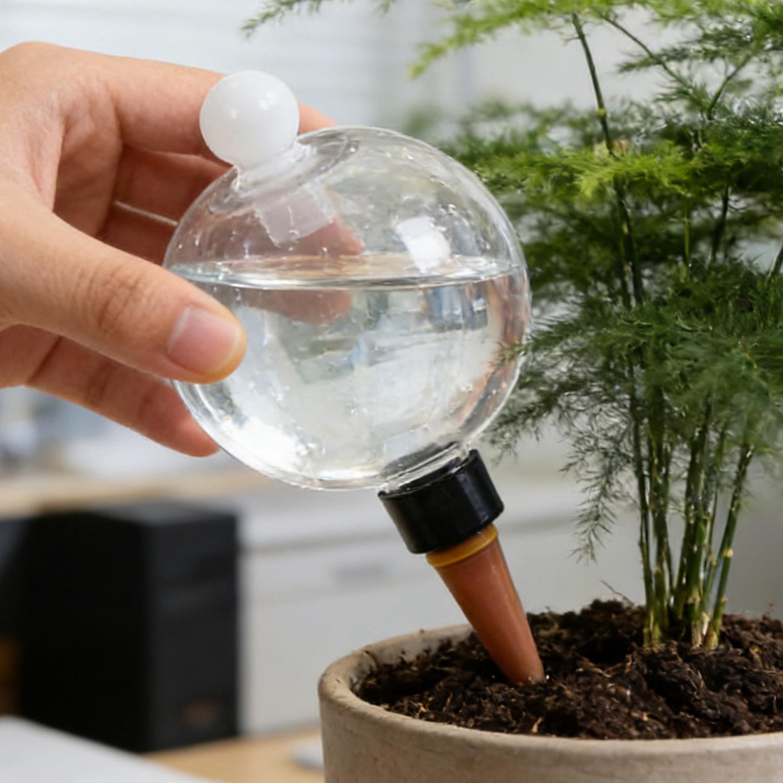 كرات سقي النباتات 4 قطع 500 مل - مراجعة Plant Sensor وسعره