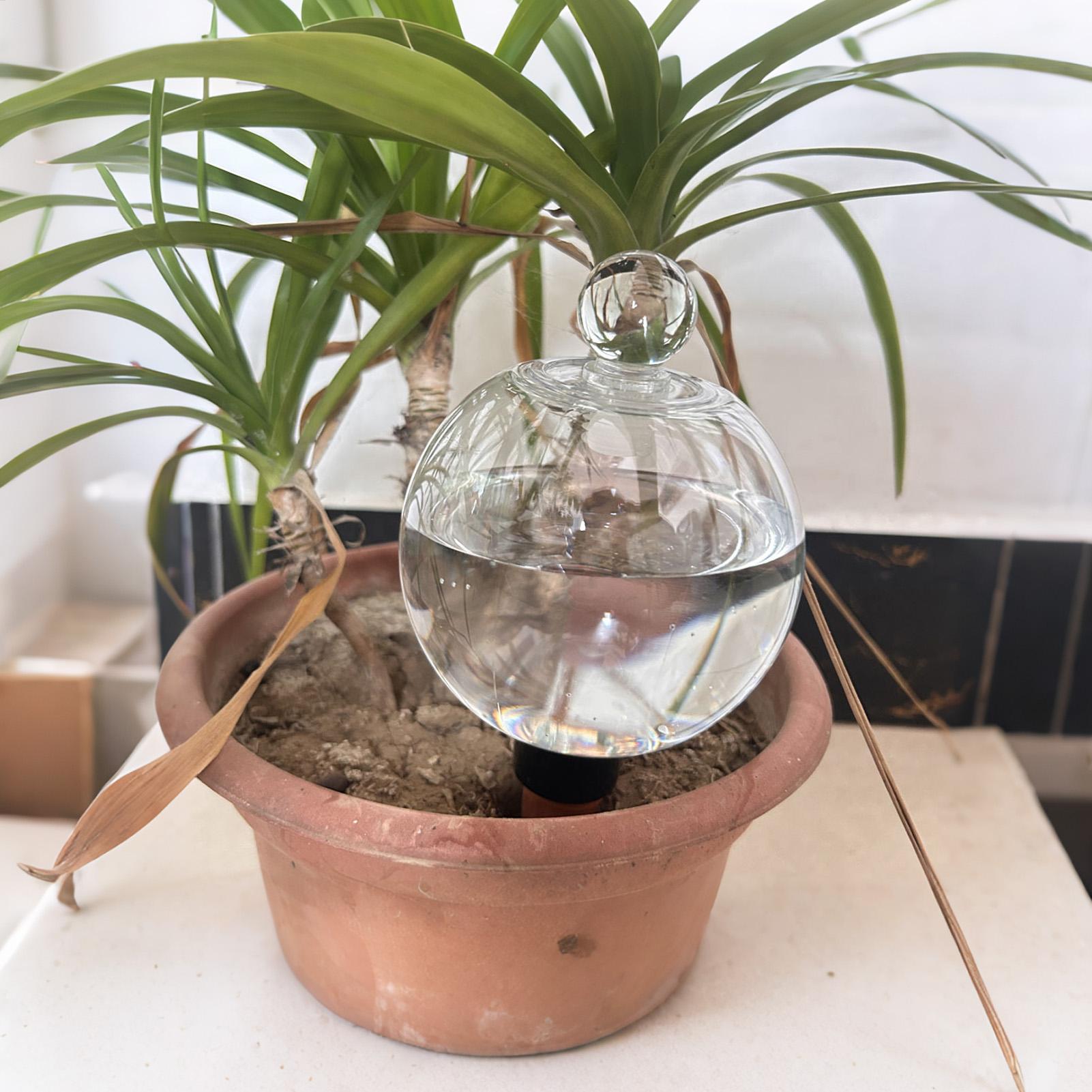 كرات سقي النباتات 4 قطع 500 مل - مراجعة Plant Sensor وسعره
