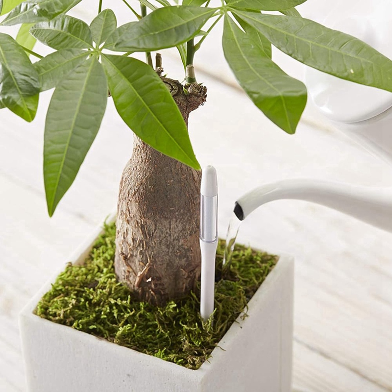 جهاز قياس رطوبة التربة، 5 قطع، - مراجعة Plant Sensor وسعره