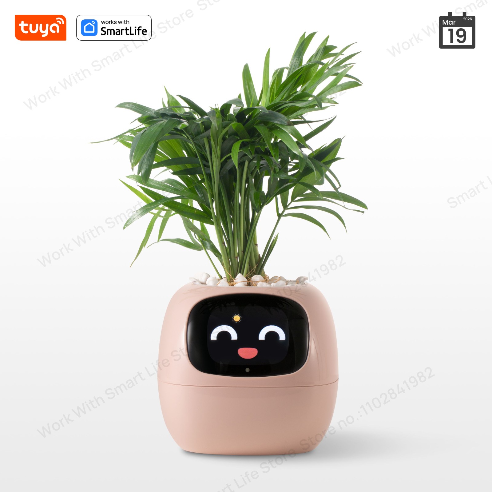 زارع ذكي Tuya Ivy ، متعة لا نه - مراجعة Smart Pot وسعره