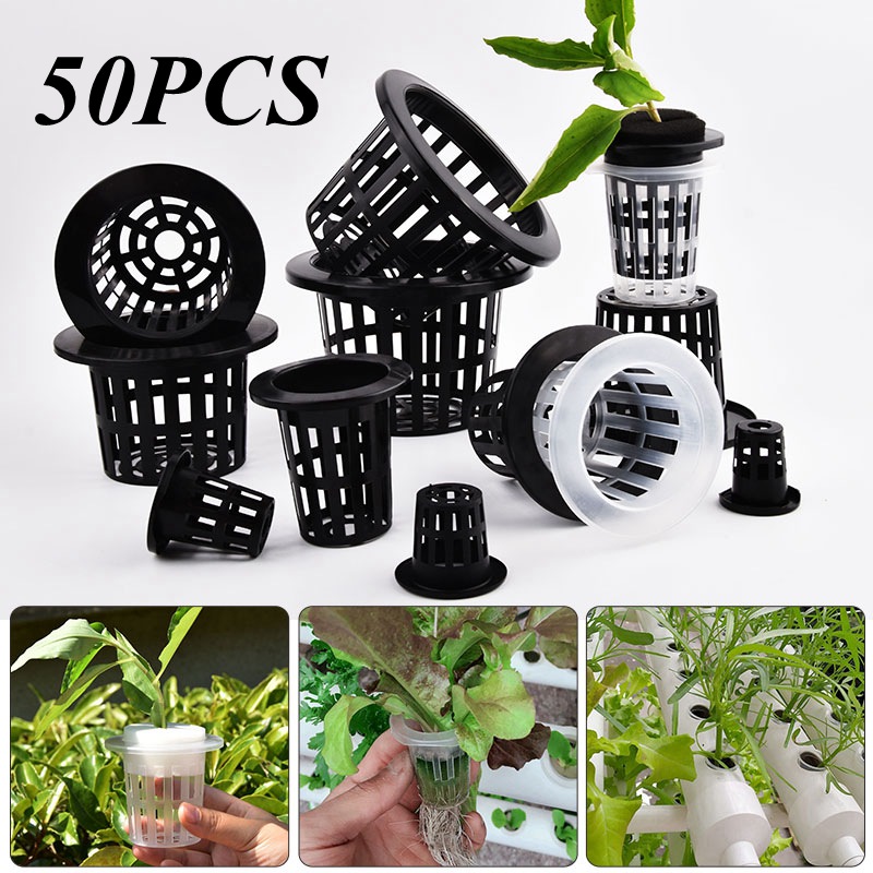 ٥٠ قطعة من أوعية زراعة النباتا - مراجعة Hydroponic Grow Pod وسعره