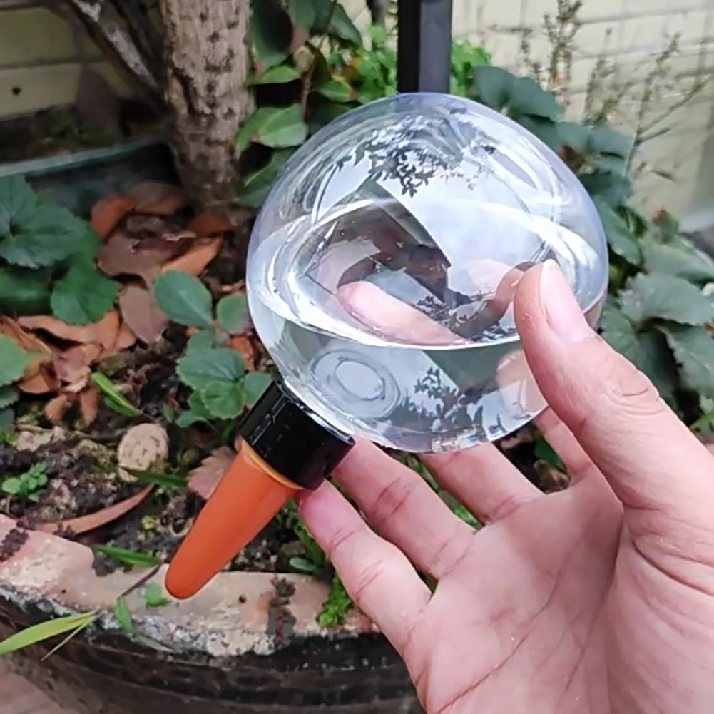 كرات ري ذاتية سعة 500 مل، نظام - مراجعة Self Watering Planter وسعره
