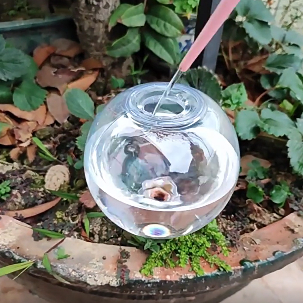 كرات ري ذاتية سعة 500 مل، نظام - مراجعة Self Watering Planter وسعره