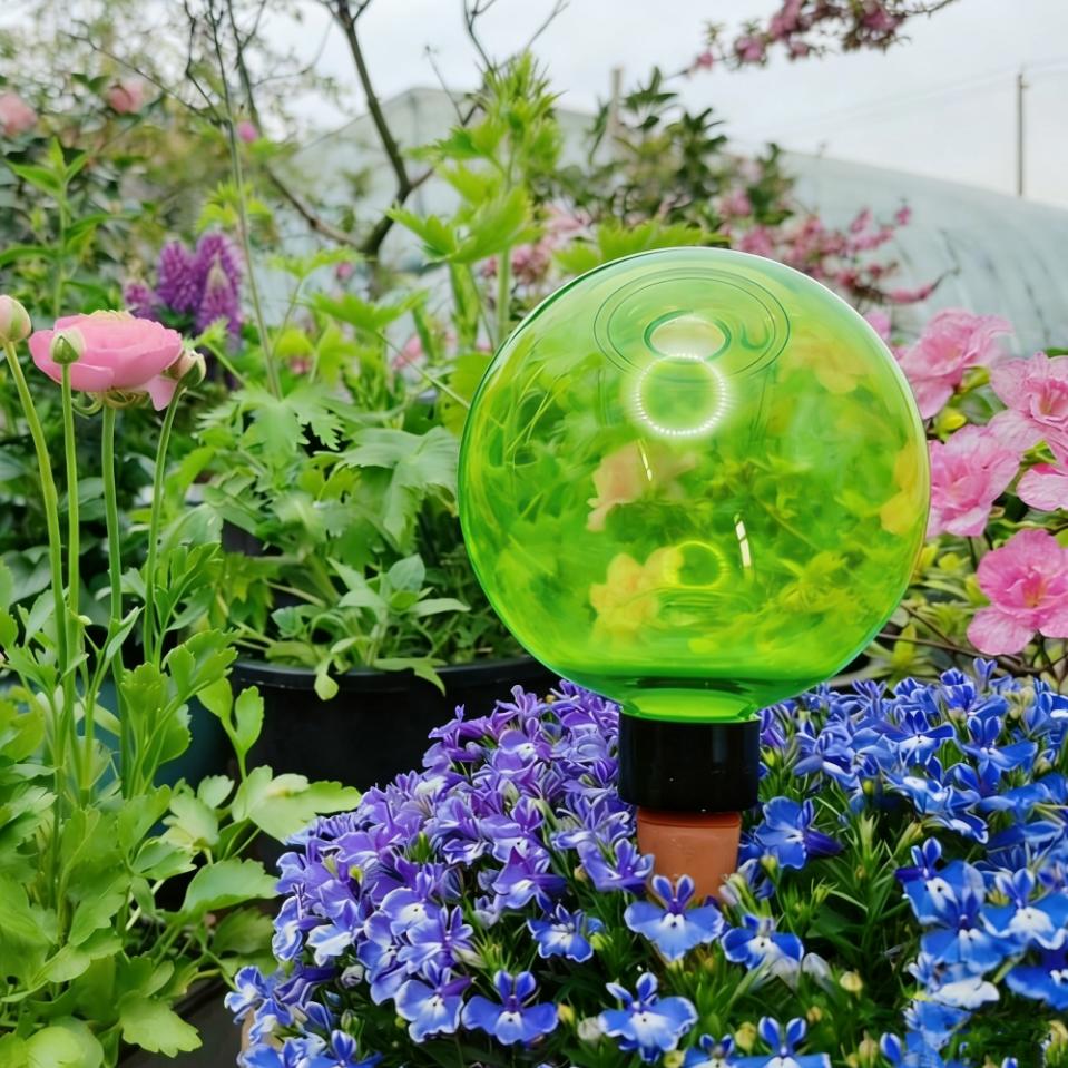 3 قطع من كرات الري الذاتي الكب - مراجعة Self Watering Planter وسعره
