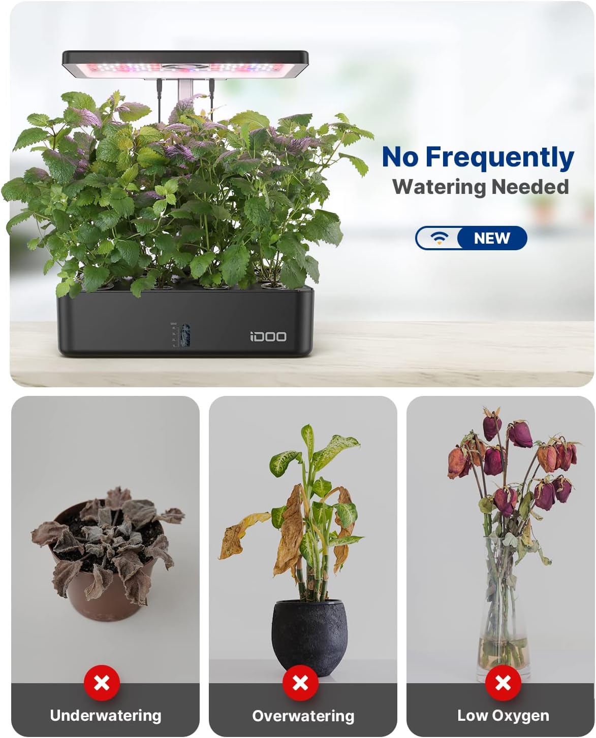 نظام زراعة مائية بـ 12 وحدة مع - مراجعة Indoor Garden Kit وسعره