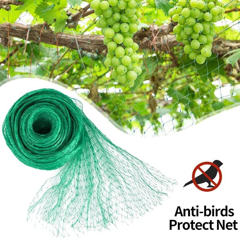 حديقة المعاوضة الأخضر المنسوجة - مراجعة Plant Sensor وسعره